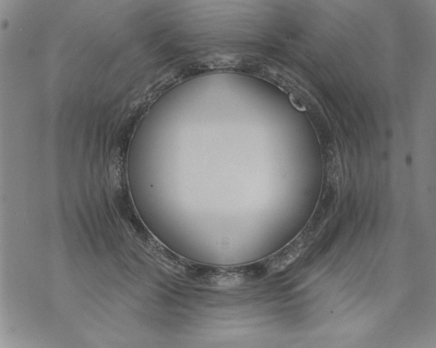 X0000073900604200609082149