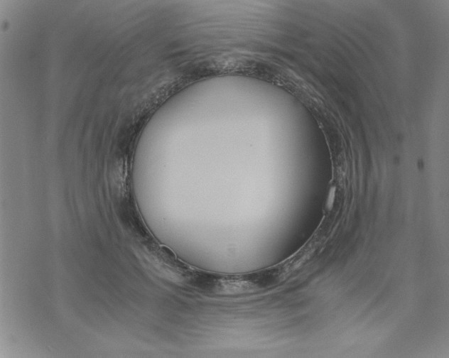 X0000073900605200609082149