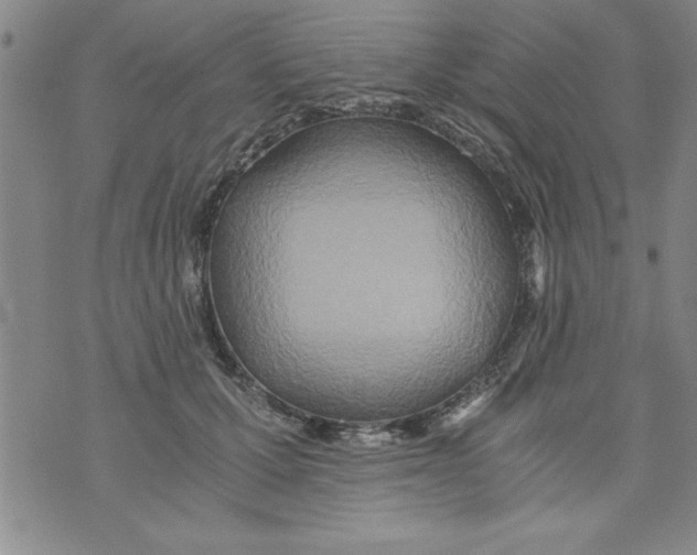 X0000073900607200609082149