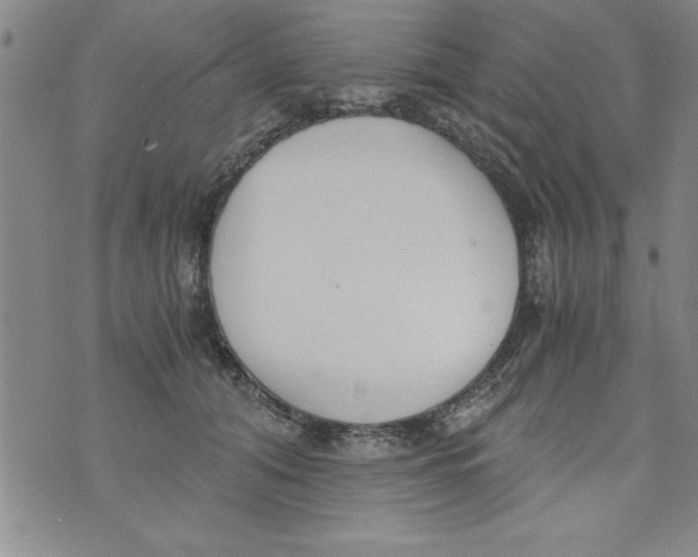 X0000073900608200609082149