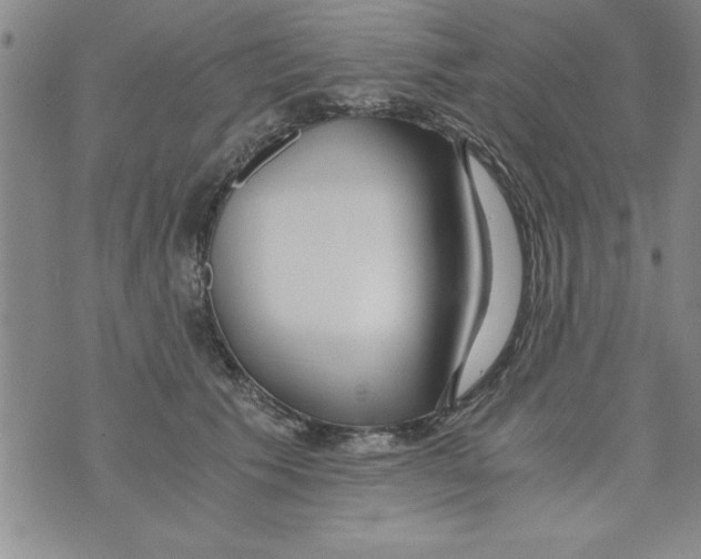 X0000073900609200609082149