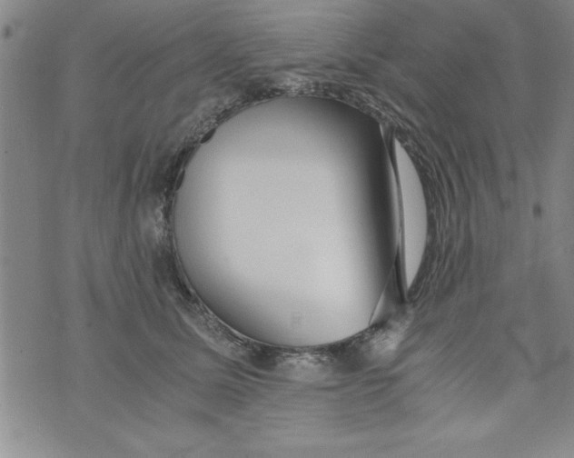 X0000073900611200609082149