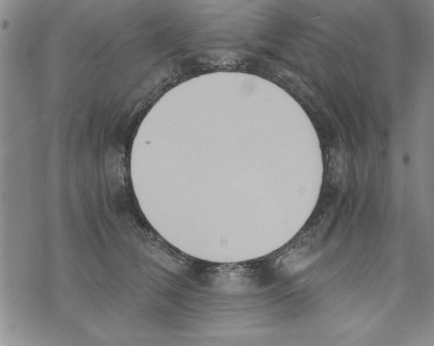 X0000073900612200609082149