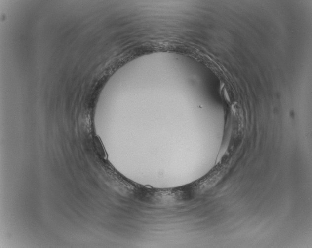 X0000073900613200609082149