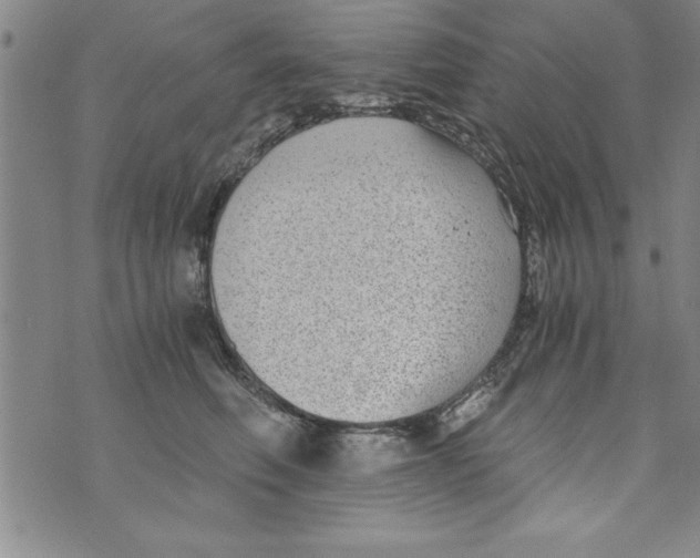 X0000073900614200609082149