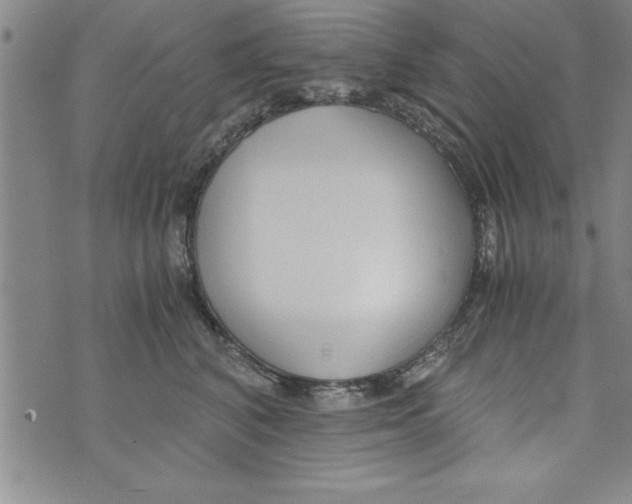 X0000073900616200609082149