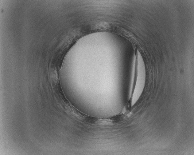 X0000073900617200609082149