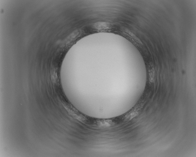 X0000073900618200609082149