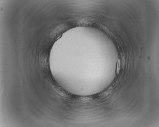 X0000073900619200609082149