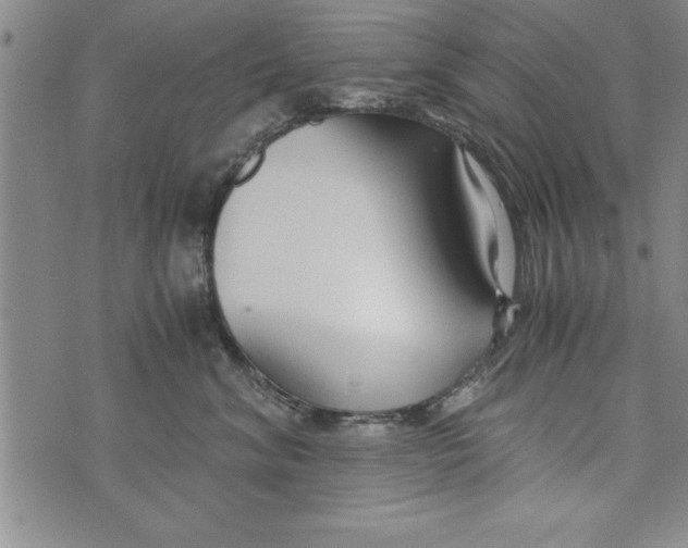 X0000073900620200609082149