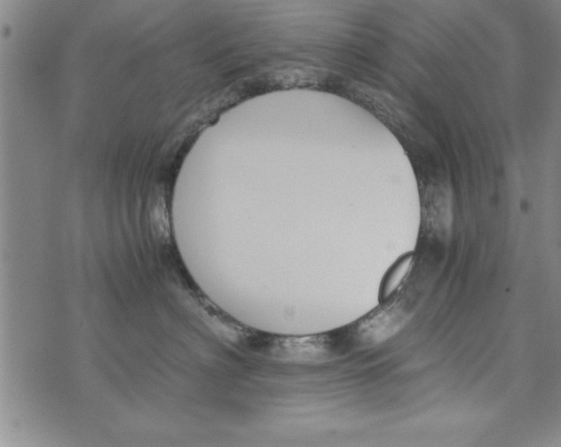 X0000073900622200609082149