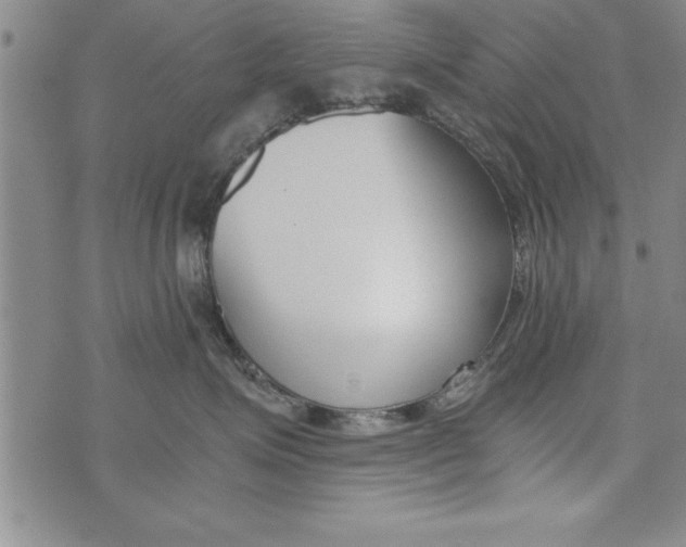 X0000073900623200609082149