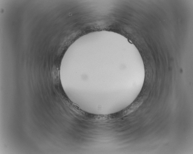 X0000073900624200609082149