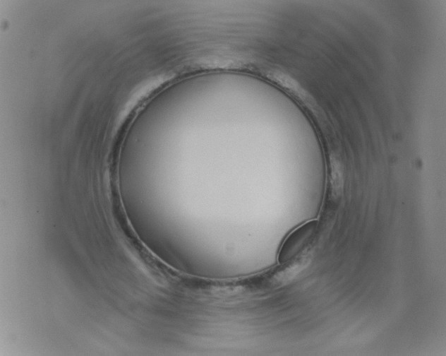 X0000073900626200609082148