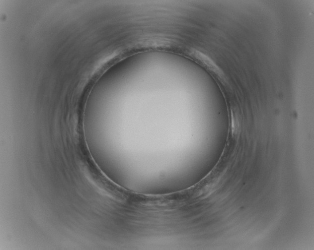 X0000073900627200609082148