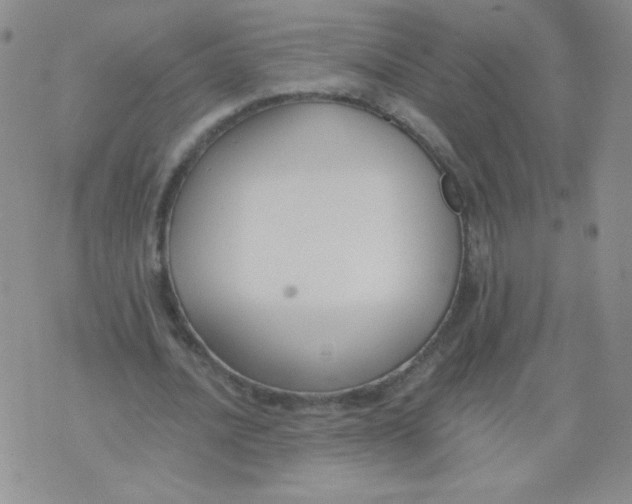 X0000073900628200609082148