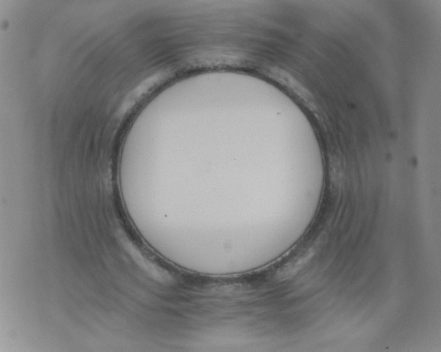 X0000073900629200609082148