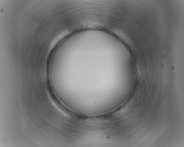 X0000073900630200609082148