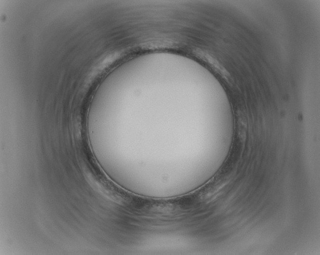 X0000073900631200609082148