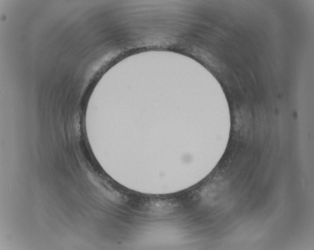 X0000073900632200609082148