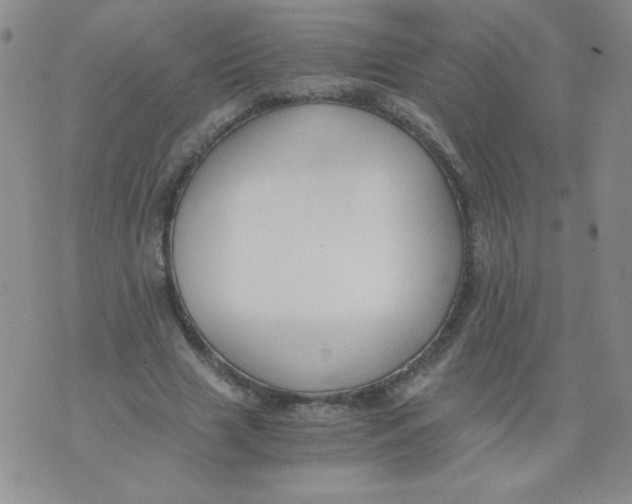 X0000073900633200609082148