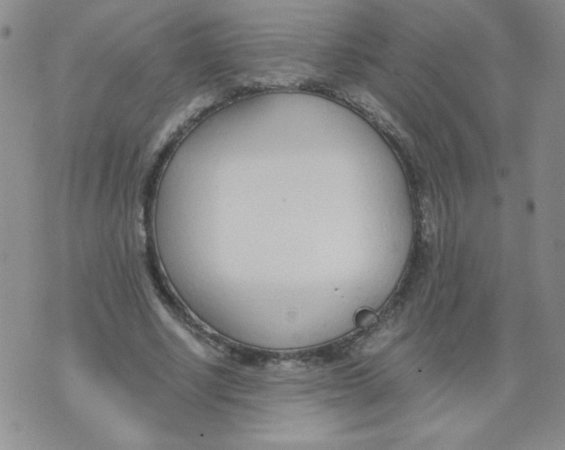 X0000073900634200609082148