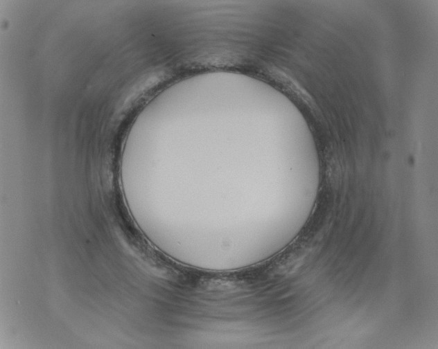 X0000073900635200609082149