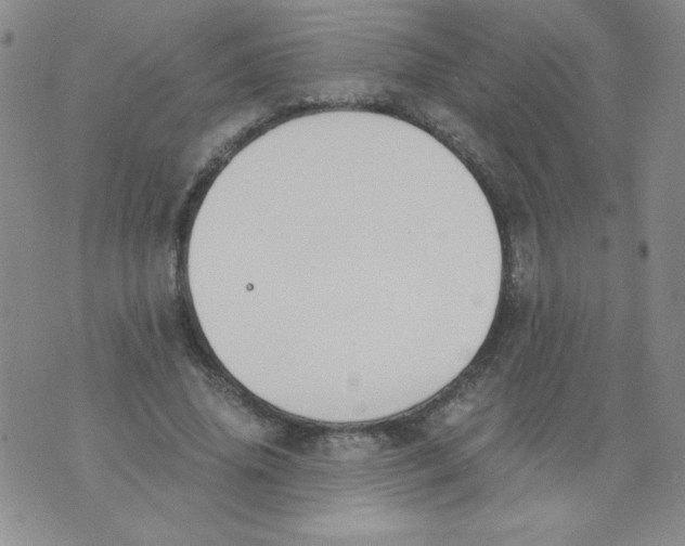 X0000073900636200609082149