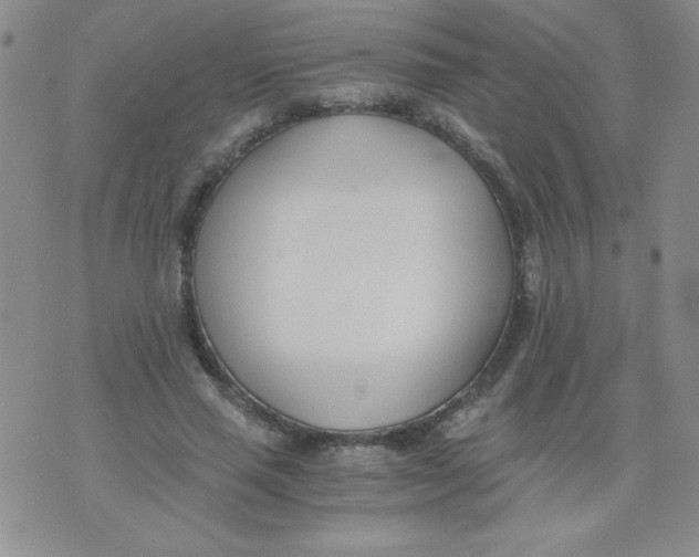 X0000073900637200609082149