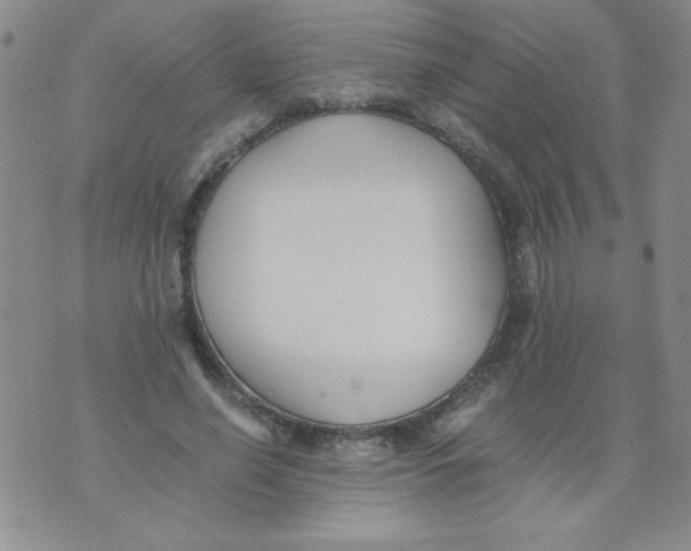 X0000073900638200609082149