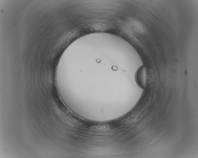 X0000073900639200609082149