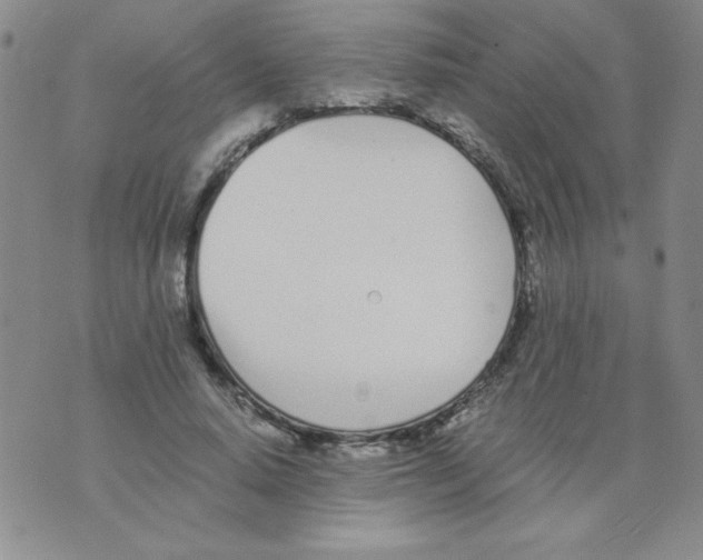 X0000073900640200609082149