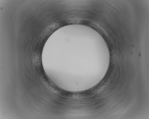 X0000073900641200609082149