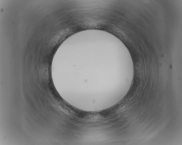 X0000073900642200609082149