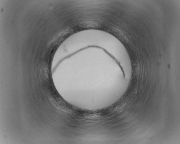 X0000073900643200609082149