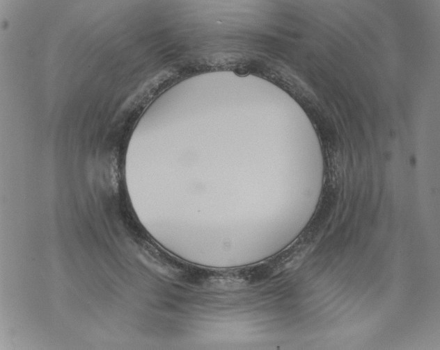 X0000073900644200609082149