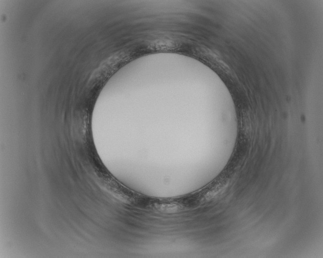 X0000073900645200609082149