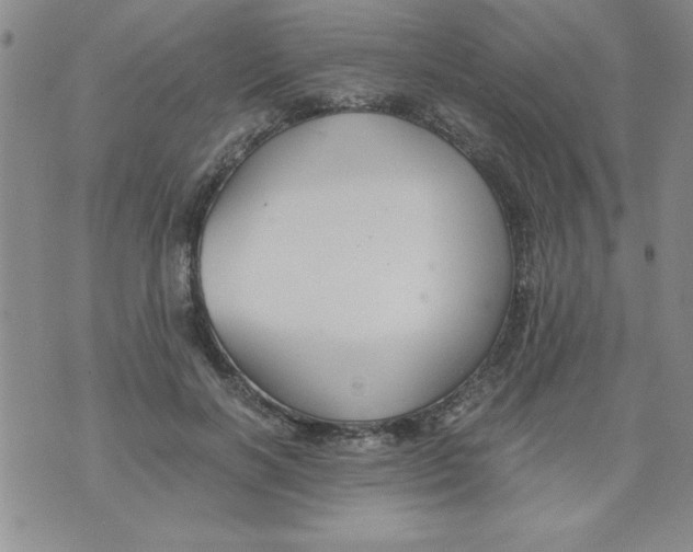 X0000073900646200609082149