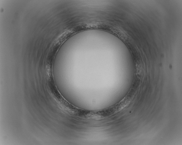 X0000073900648200609082149