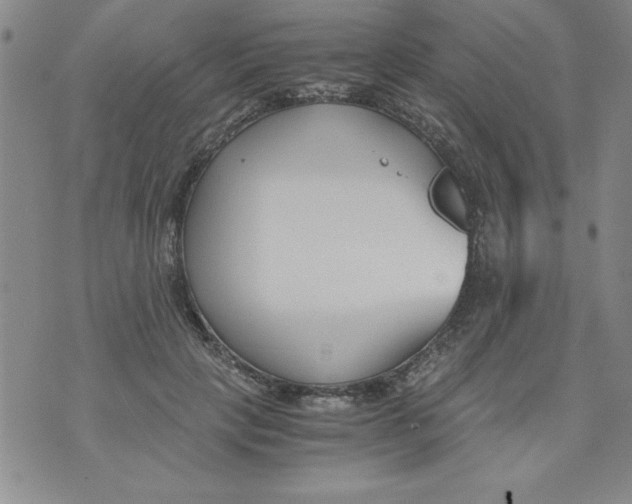 X0000073900649200609082149