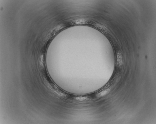 X0000073900650200609082149