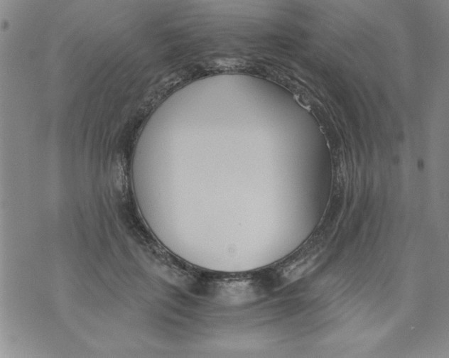 X0000073900651200609082149