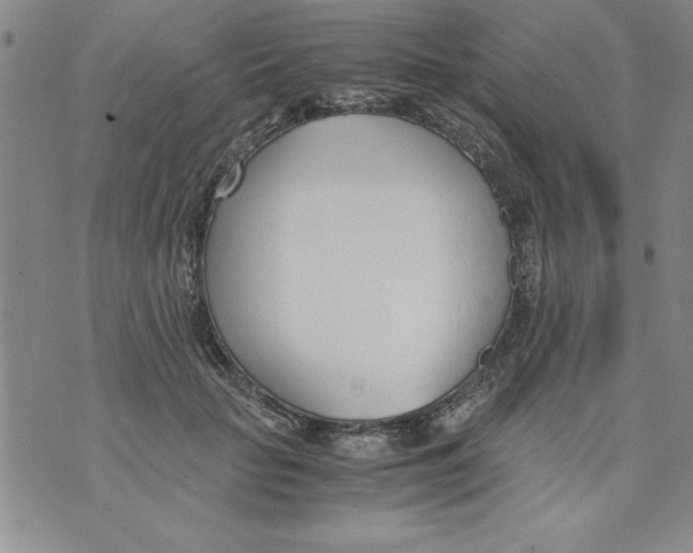 X0000073900653200609082149