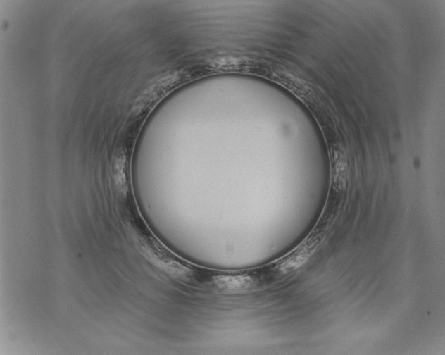 X0000073900654200609082149