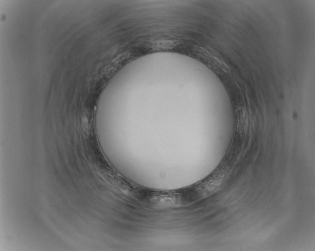 X0000073900655200609082149