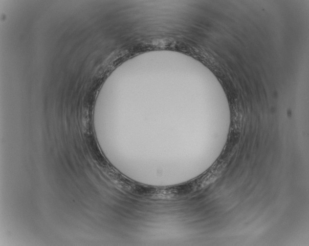 X0000073900656200609082149