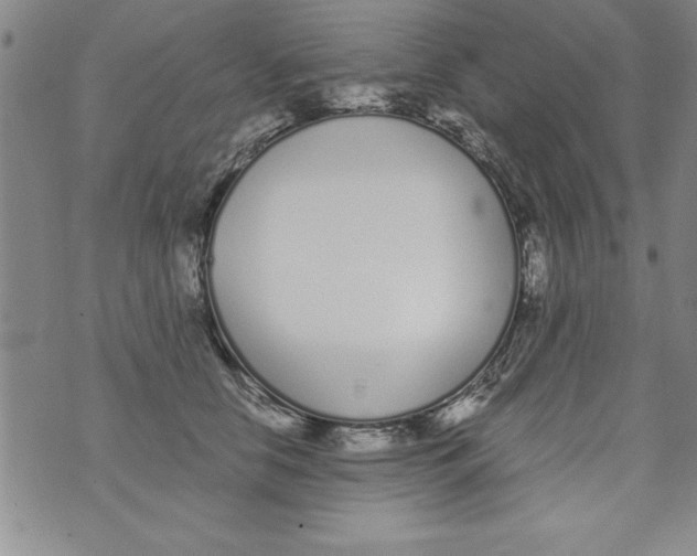 X0000073900658200609082149