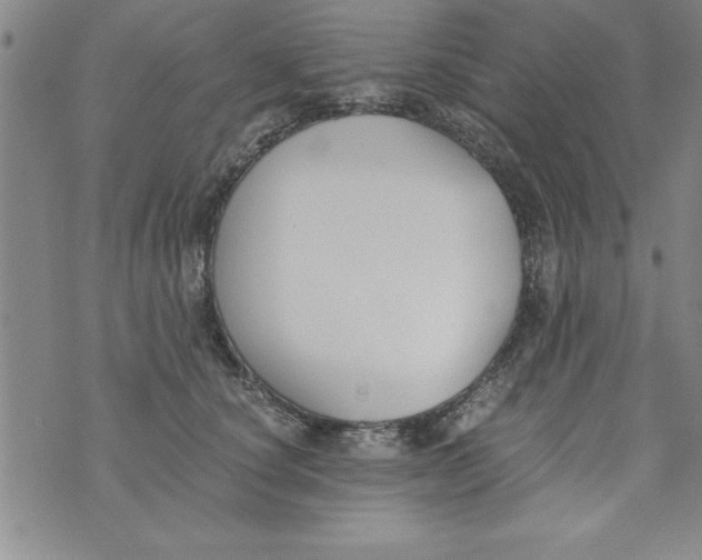 X0000073900660200609082149