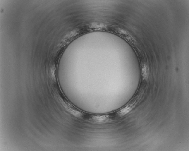 X0000073900662200609082149