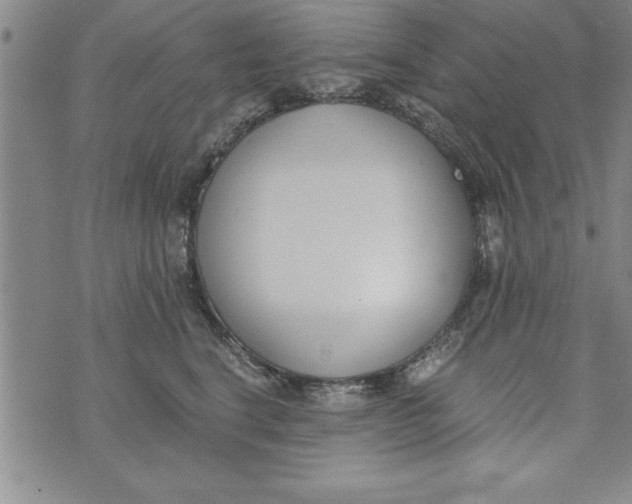 X0000073900664200609082149